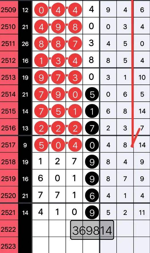 王中王一字拆一肖,探寻背后的文化奥秘,王中王一字拆解探秘文化背后的生肖奥秘