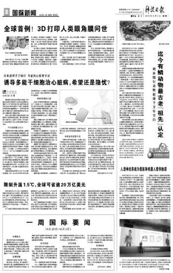 世界新闻周刊最新一期内容摘要,世界新闻周刊最新一期内容摘要概览