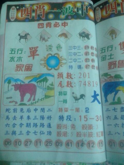 王中王296期指一生肖——探寻背后的文化密码与人生寓言,探寻背后文化密码与人生寓言,王中王生肖运势解析 296期聚焦生肖揭秘