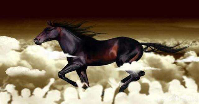 王中王一肖与特马一尾的独特故事,王中王一肖与特马一尾,独特故事揭秘