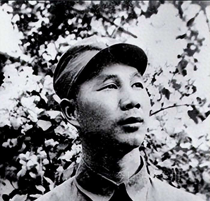 五五式步枪,历史的印记与军事的象征,五五式步枪,历史的印记与军事的象征传承