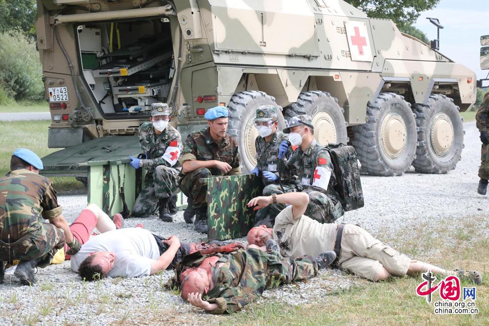 中德卫勤实兵联合演习演员表详解，中德卫勤实兵联合演习演员表全解析