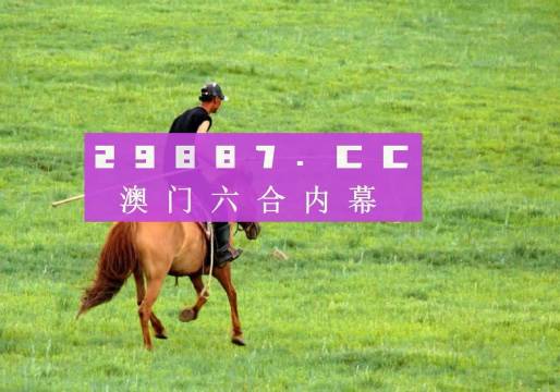 澳门天天彩开奖结果，探索彩票背后的故事与影响，澳门天天彩开奖背后的故事与影响探索