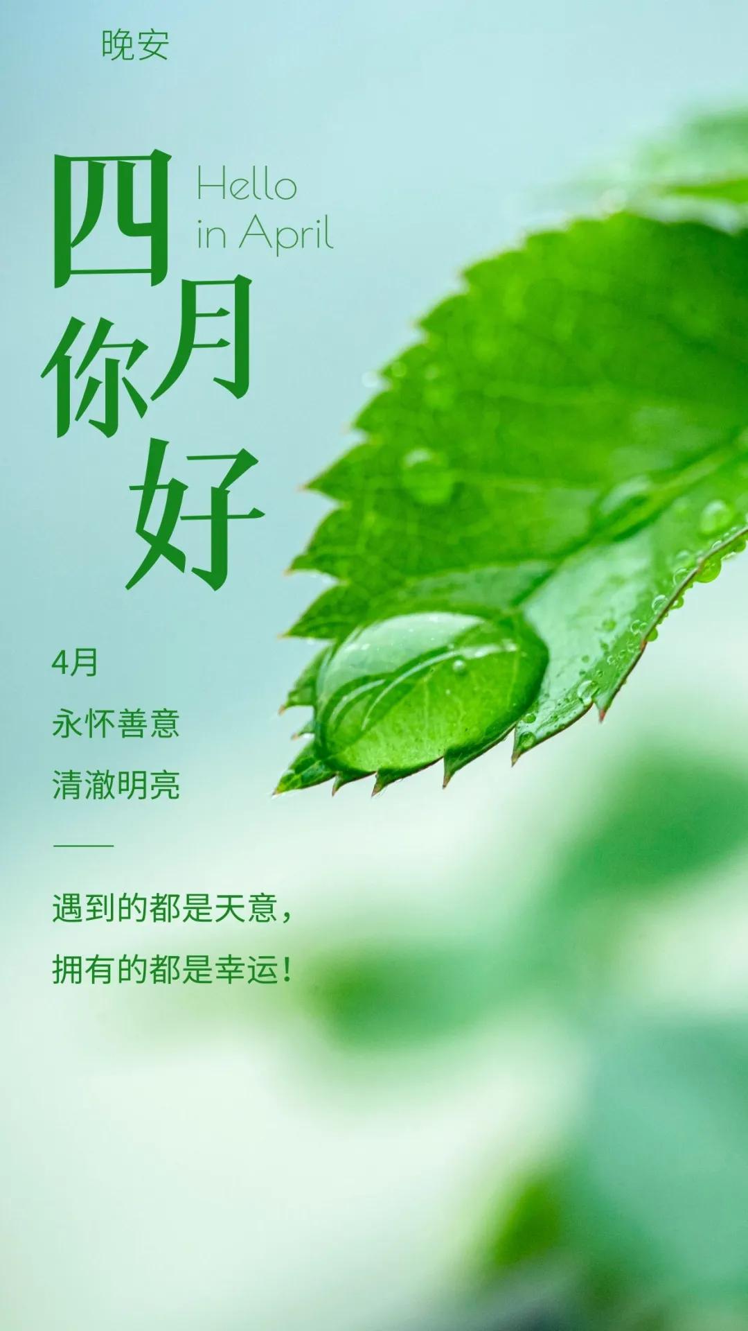 今日重大新闻，揭秘2021年4月1日的独特魅力，揭秘2021年4月1日的独特魅力，今日重大新闻全解析