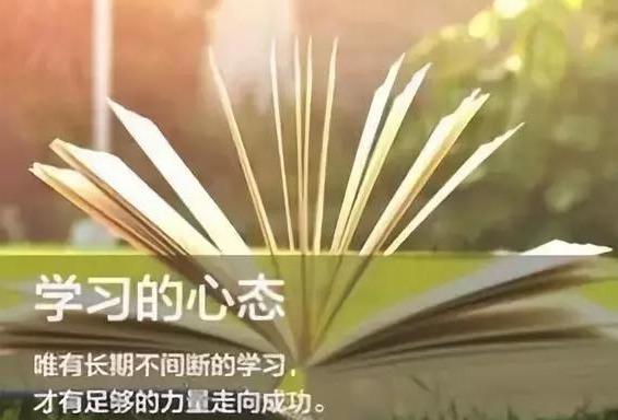 一肖最准期期中特大全解析与探讨，一肖最准期期中特全面解析与探讨