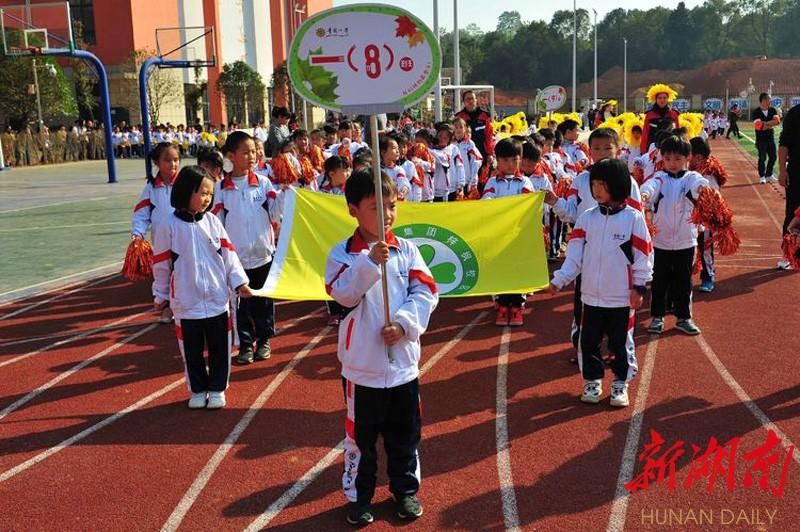 一肖最准期期中特大全解析与探讨,一肖最准期期中特全面解析与探讨