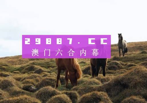 澳门六开奖结果今天开奖记录，历史与未来的见证，澳门六开奖结果，历史见证与未来展望的今日开奖记录