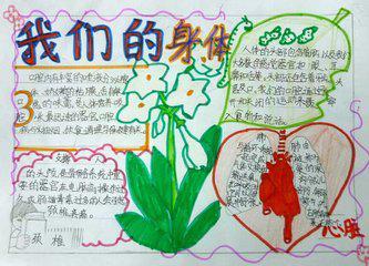 歼八系列手抄报,探索中国空军的力量之源,歼八系列手抄报,揭秘中国空军力量之源