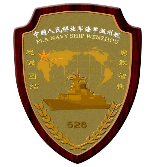 中国海军力量 第6页