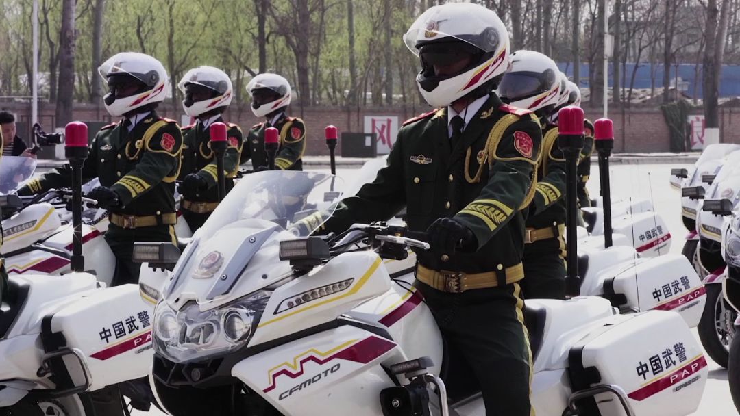 国宾护卫队队员，英勇威武，技艺非凡，国宾护卫队队员，英勇威武，技艺非凡的卫士