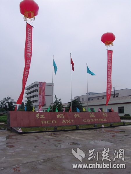 湖北通城今日重大新闻揭秘,湖北通城今日重大新闻独家揭秘