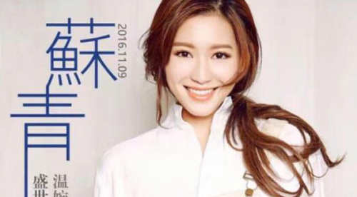 海峡主持人简介资料——一位跨越文化与语言的桥梁,海峡主持人,跨越文化与语言的桥梁简介介绍