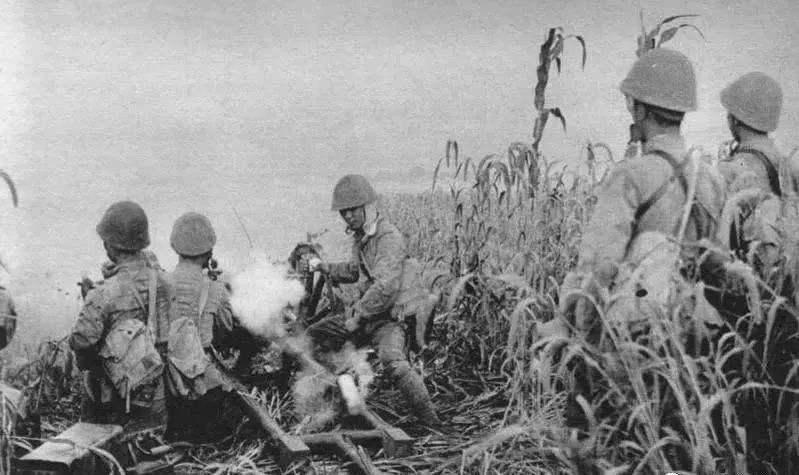 为什么对女兵的要求很高,女兵的高标准要求的背后原因解析