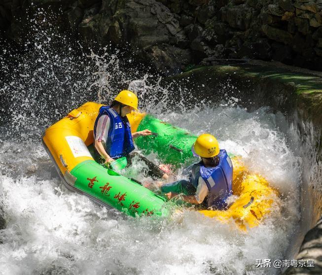 森林之王中王与生肖的奇妙缘分,森林之王中的王者与生肖的奇缘