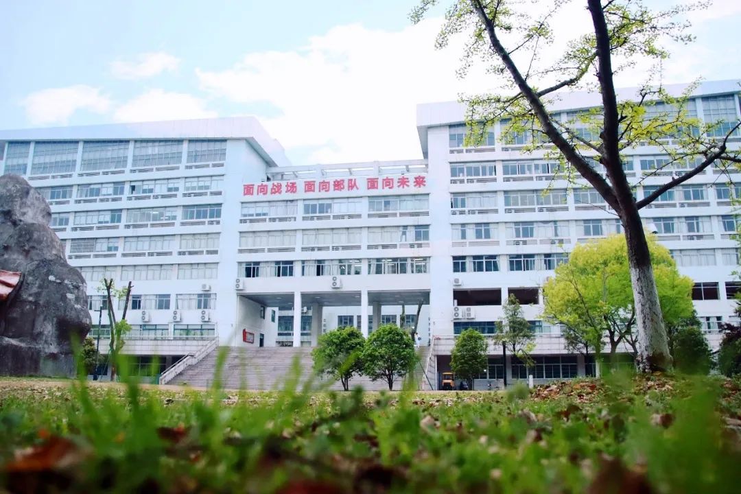 武警海警学院院徽,象征荣耀与担当的徽章,武警海警学院院徽,荣耀与担当的象征