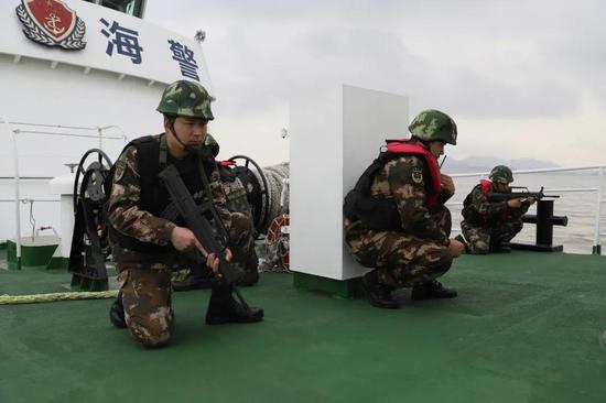 武警海警学院院徽,象征荣耀与担当的徽章,武警海警学院院徽,荣耀与担当的象征