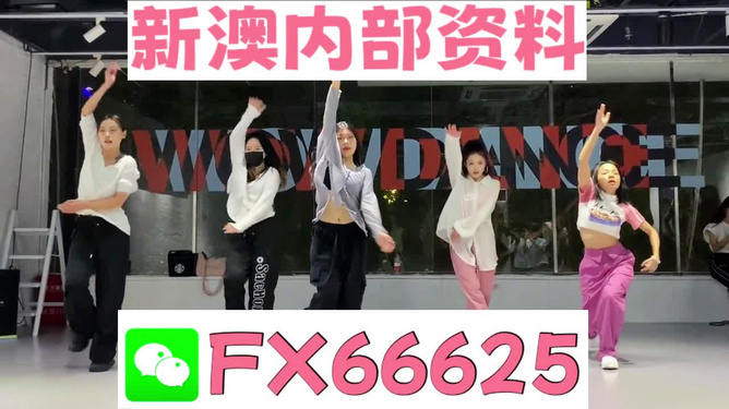 新奥天天精准资料大全，深度解析与实际应用，新奥天天精准资料大全，深度解析及实际应用指南