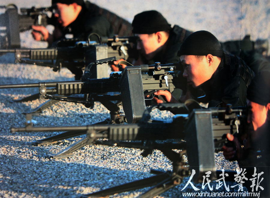 武警雪豹突击队旗，荣耀与力量的象征，武警雪豹突击队旗，荣耀与力量的不灭象征