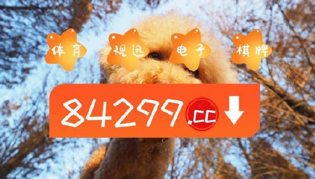 今期必中一肖一码白小姐，揭秘彩票背后的神秘力量，揭秘彩票背后的神秘力量，白小姐今期必中一肖一码预测