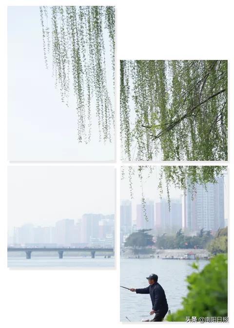 澳门 第223页