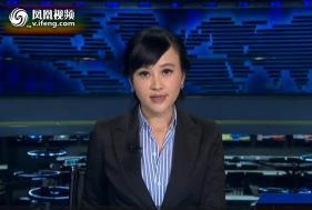 凤凰网新闻女主播，优雅传递信息，魅力展现新时代风采，凤凰网新闻女主播，优雅传递信息，展现新时代魅力风采