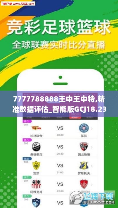 探索未知，超越王中王的预言与必然出肖的迷思，探索未知，超越预言与现实之迷思——王中王与肖的探寻