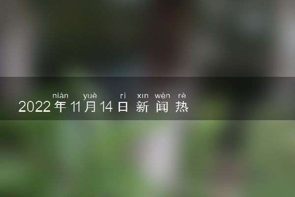 时事新闻最新消息2022年十一月，全球动态与经济展望，2022年十一月全球时事新闻概览与经济展望