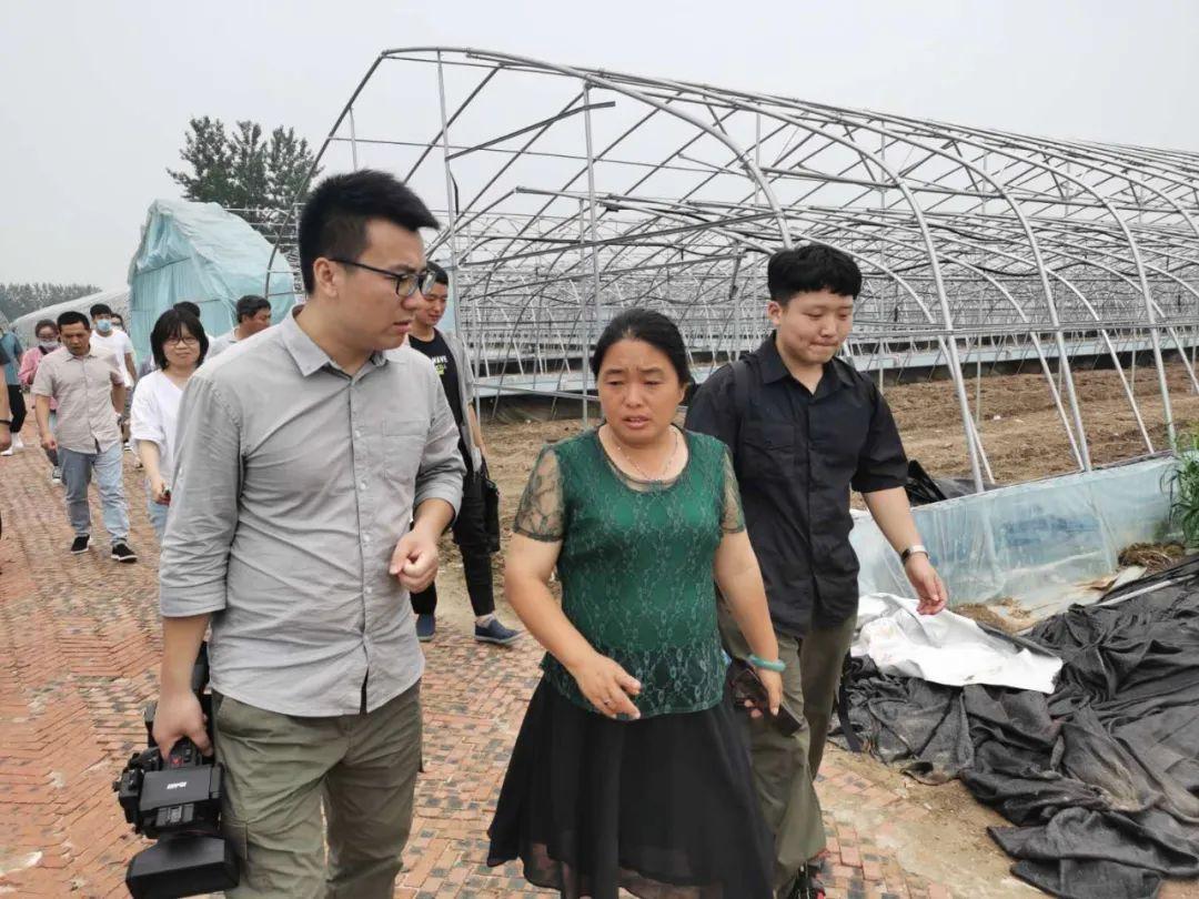 新闻最近的报道，揭示社会热点与聚焦时事动态，社会热点与时事动态揭秘，最新报道聚焦新闻中心