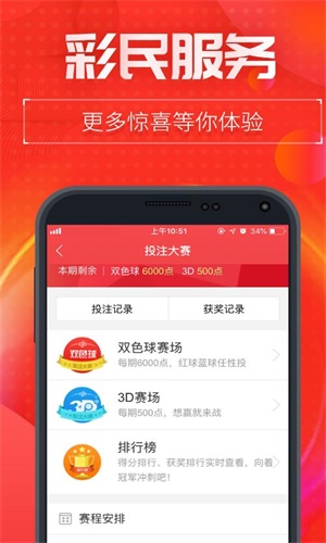 王中王一码一肖排码表图详解，王中王一码一肖排码表图全解析