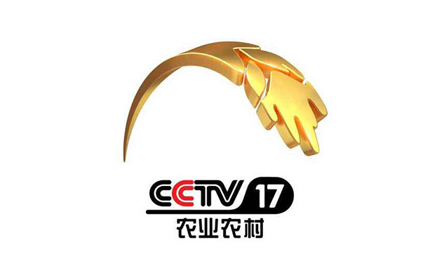 澳门 第131页