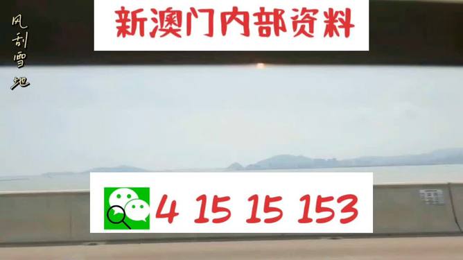 新澳精准16码，探索现代数字世界的精准预测之道，现代数字世界的精准预测之道，新澳精准16码揭秘
