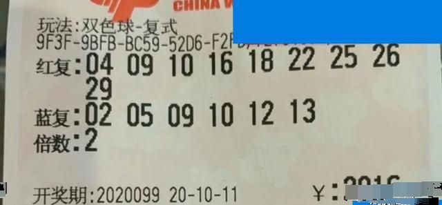 探索与期待