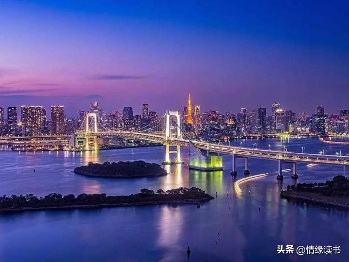 探索真实与免费的平衡点