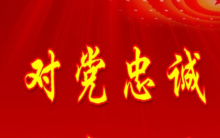 对党忠诚个人心得体会，对党忠诚的个人感悟与心得体会
