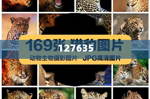 揭秘精准新传真背后的秘密，数字77777与88888的力量，揭秘精准新传真背后的秘密，数字力量77777与88888探秘