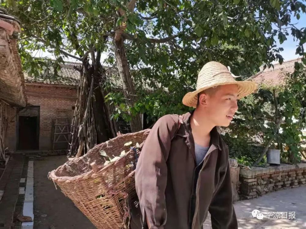 祁发宝与祁发华的子女情况介绍，祁发宝与祁发华的子女情况揭秘
