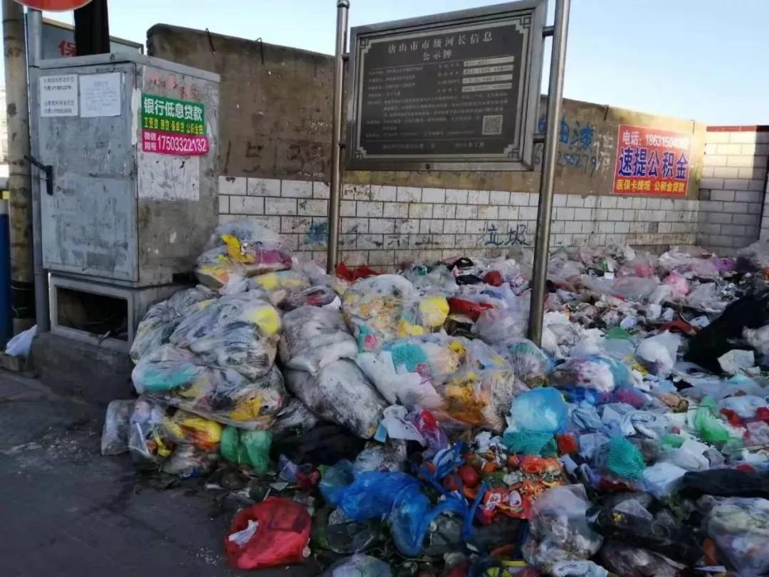 当地相关部门终于做出回应，积极行动，共建和谐社区，共建和谐社区，当地部门积极行动，回应关切，共创美好未来