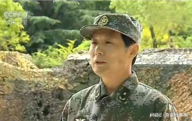 贡献概览