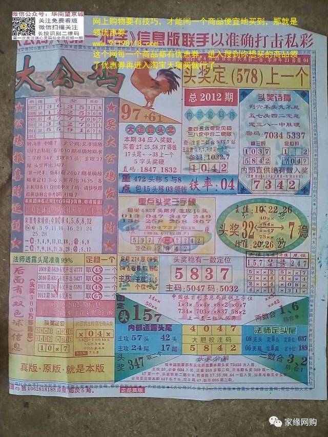 神童平特一肖王中王，天赋异禀与努力的传奇，天赋异禀与努力铸就传奇，神童平特一肖王中王的故事