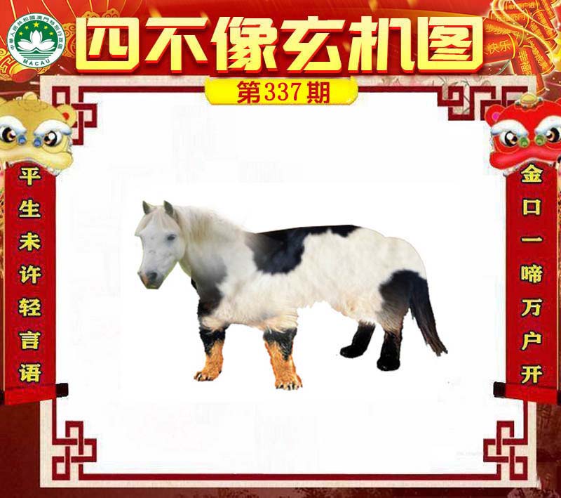 四不像王中王必中一肖——探寻神秘预测背后的真相，揭秘四不像王中王必中一肖，探寻神秘预测背后的真相