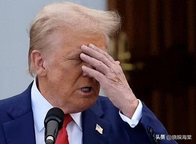 美国总统上任的时间解析，美国总统上任时间解析与探讨