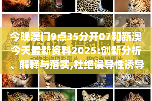 新澳今天最新资料2025，未来蓝图与发展展望，新澳未来蓝图与发展展望，2025最新资料揭秘