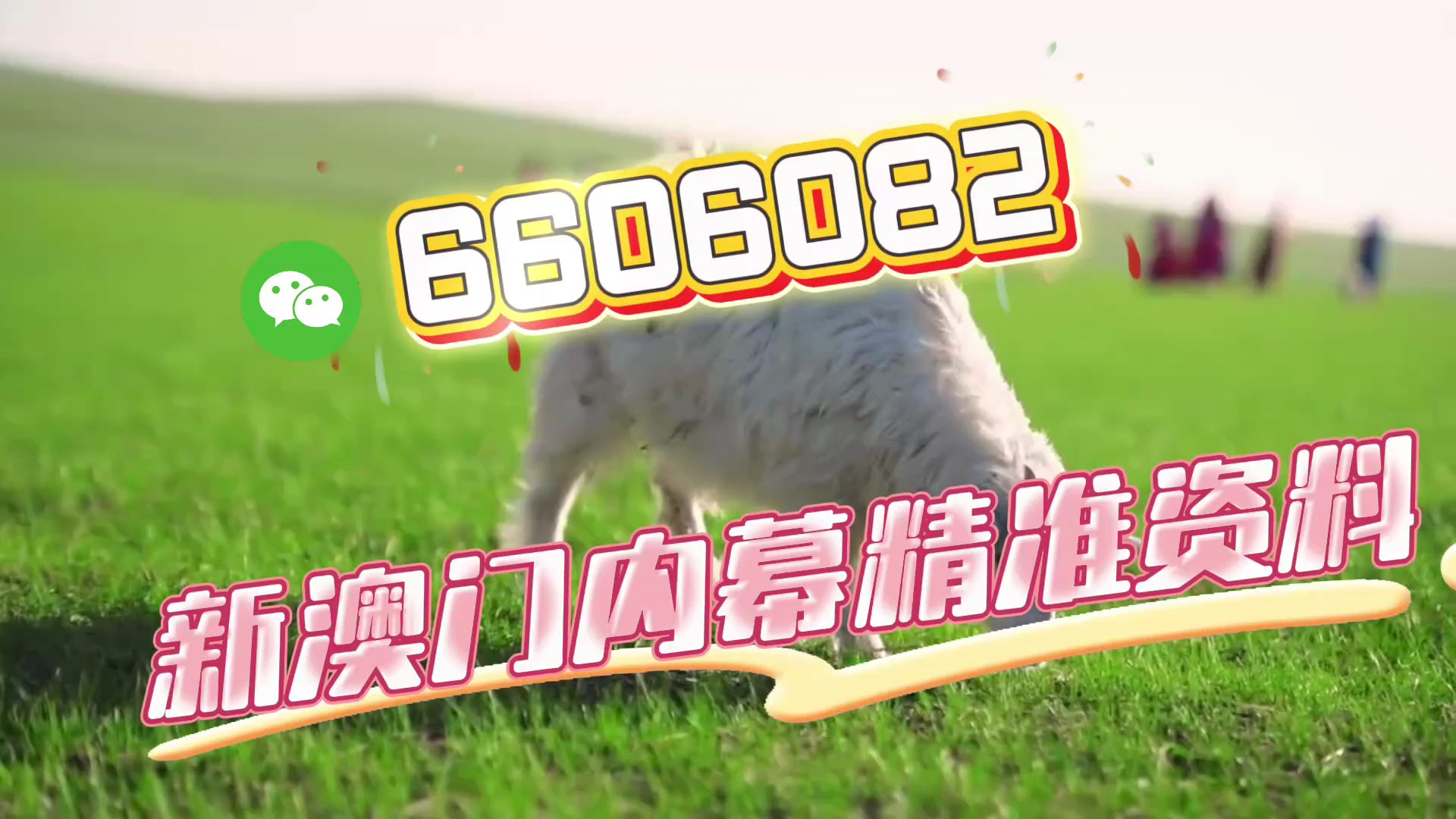 澳门王中王鉄算一肖中特——揭秘澳门彩票预测的神秘面纱，澳门王中王铁算预测揭秘，彩票预测的神秘面纱之下