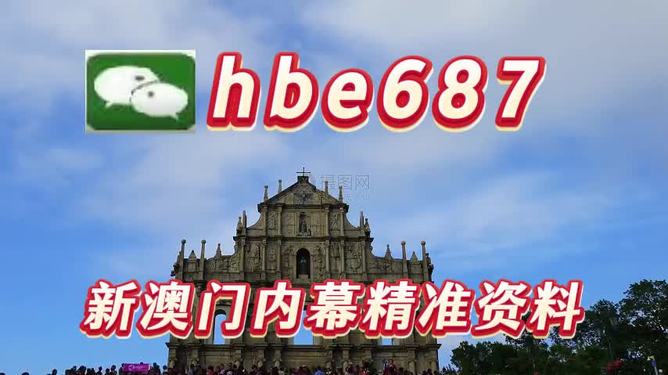 新澳24年088期资料深度解析，新澳24年088期资料深度剖析报告