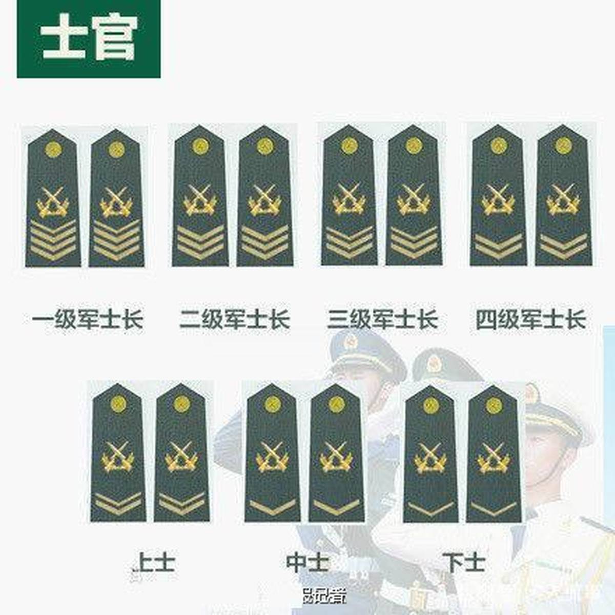 士官制度历史，演变与发展，士官制度的演变与发展历程