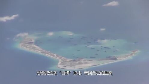 南海一声巨响，世界瞩目瞩目间，南海巨响引全球瞩目