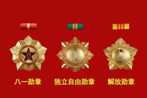 八一勋章的奖励项目，荣誉与贡献的象征，八一勋章，荣誉与贡献的象征，彰显卓越贡献的奖励项目