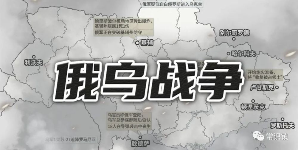 娥鸟战争最新新闻，揭示冲突背后的深层原因及未来走向，娥鸟战争最新动态，冲突深层原因揭秘与未来走向预测