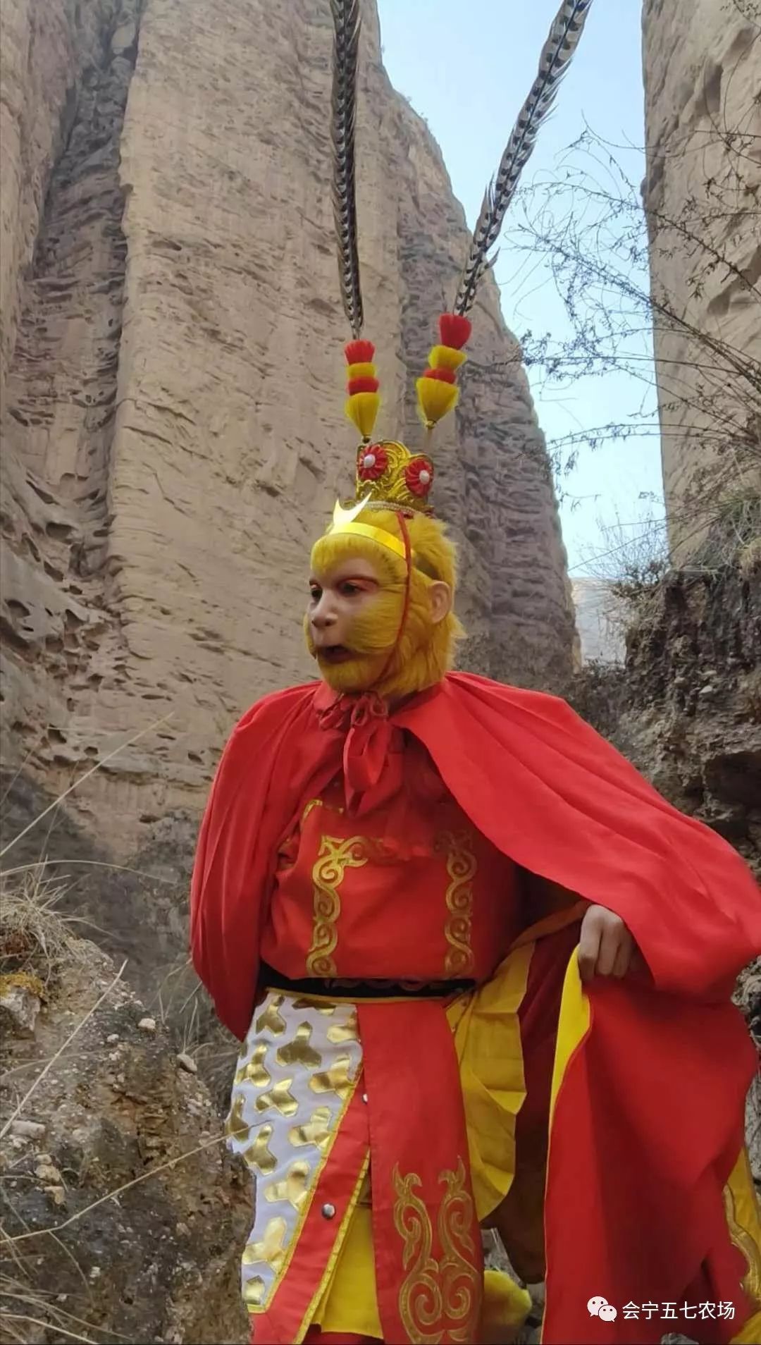 美猴王中王一肖，传奇英雄与文化的交融，王一肖演绎传奇英雄，美猴王与文化交融的壮丽篇章