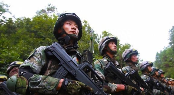 陆军兵种有哪些，全面解析，全面解析陆军兵种种类